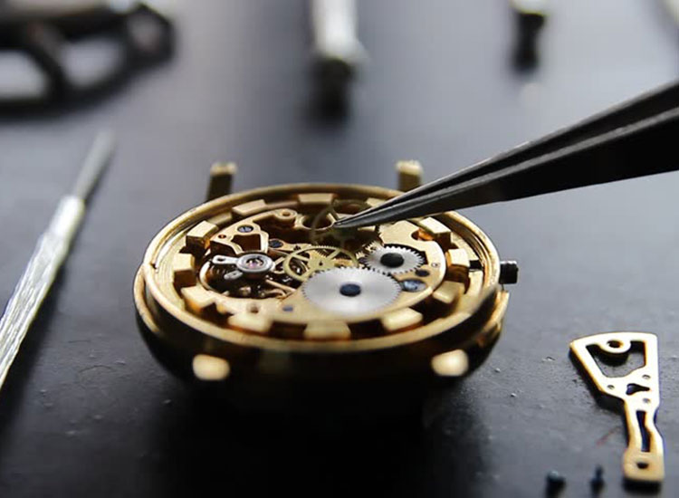 why are diving watches so popular